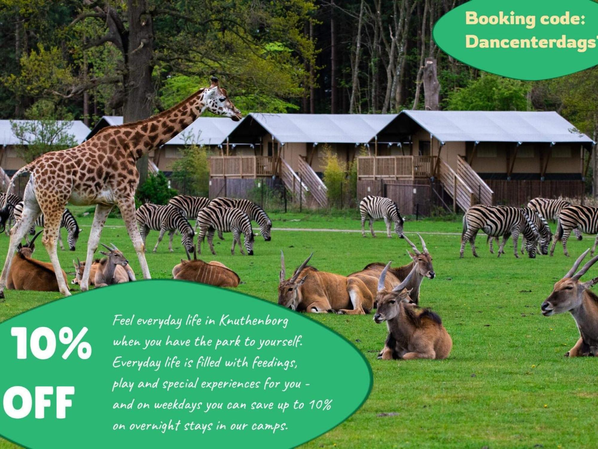 4 Person Holiday Home On A Holiday Park In Borre エクステリア 写真